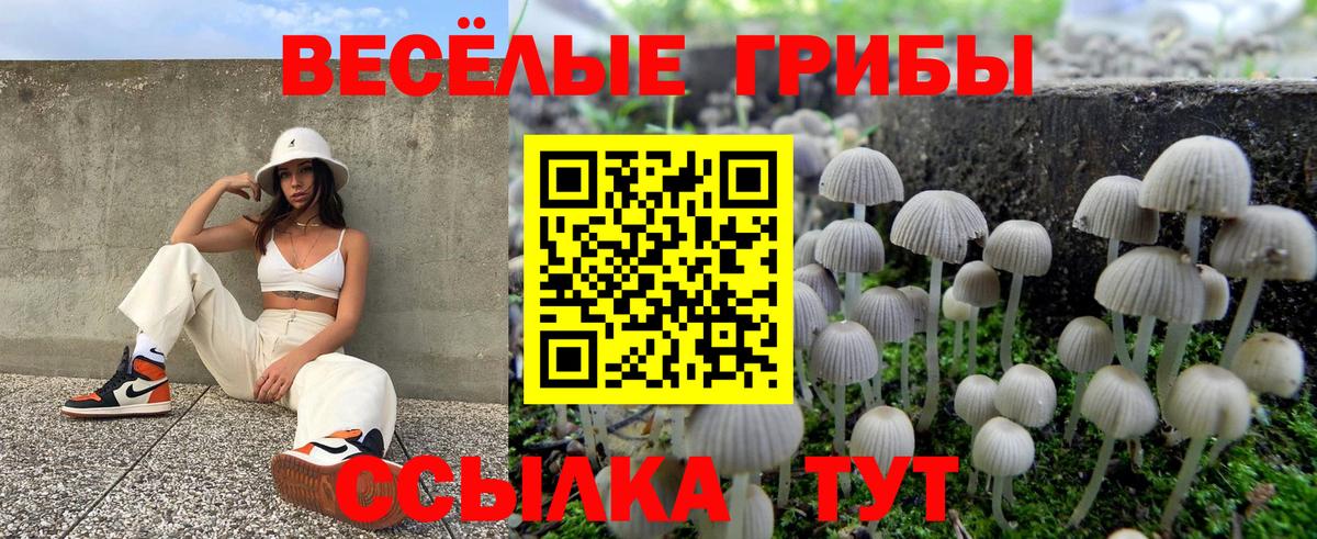 Псилоцибиновые грибы прущие грибы Ханты-Мансийск